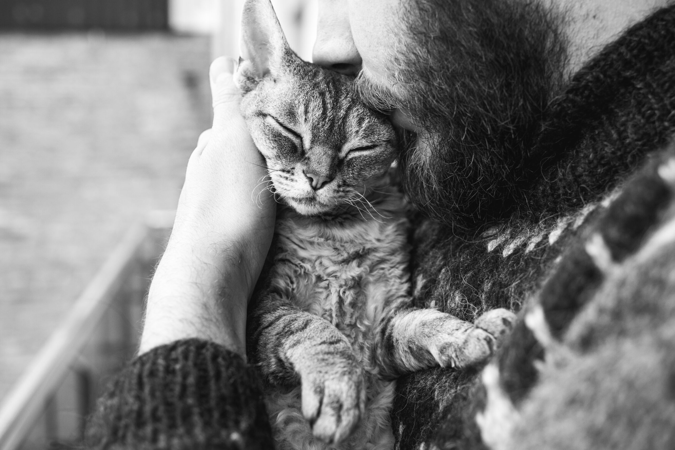 Cat,And,Man,,Portrait,Of,Happy,Cat,With,Close,Eyes